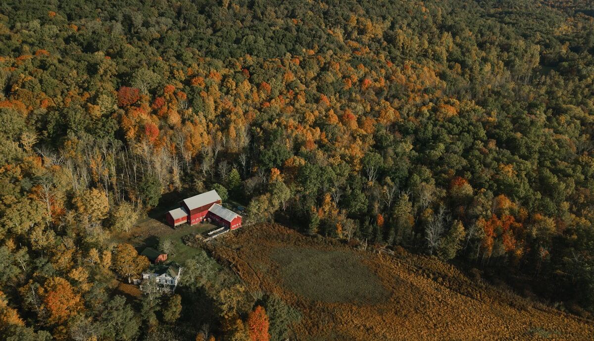 Hillsdale
